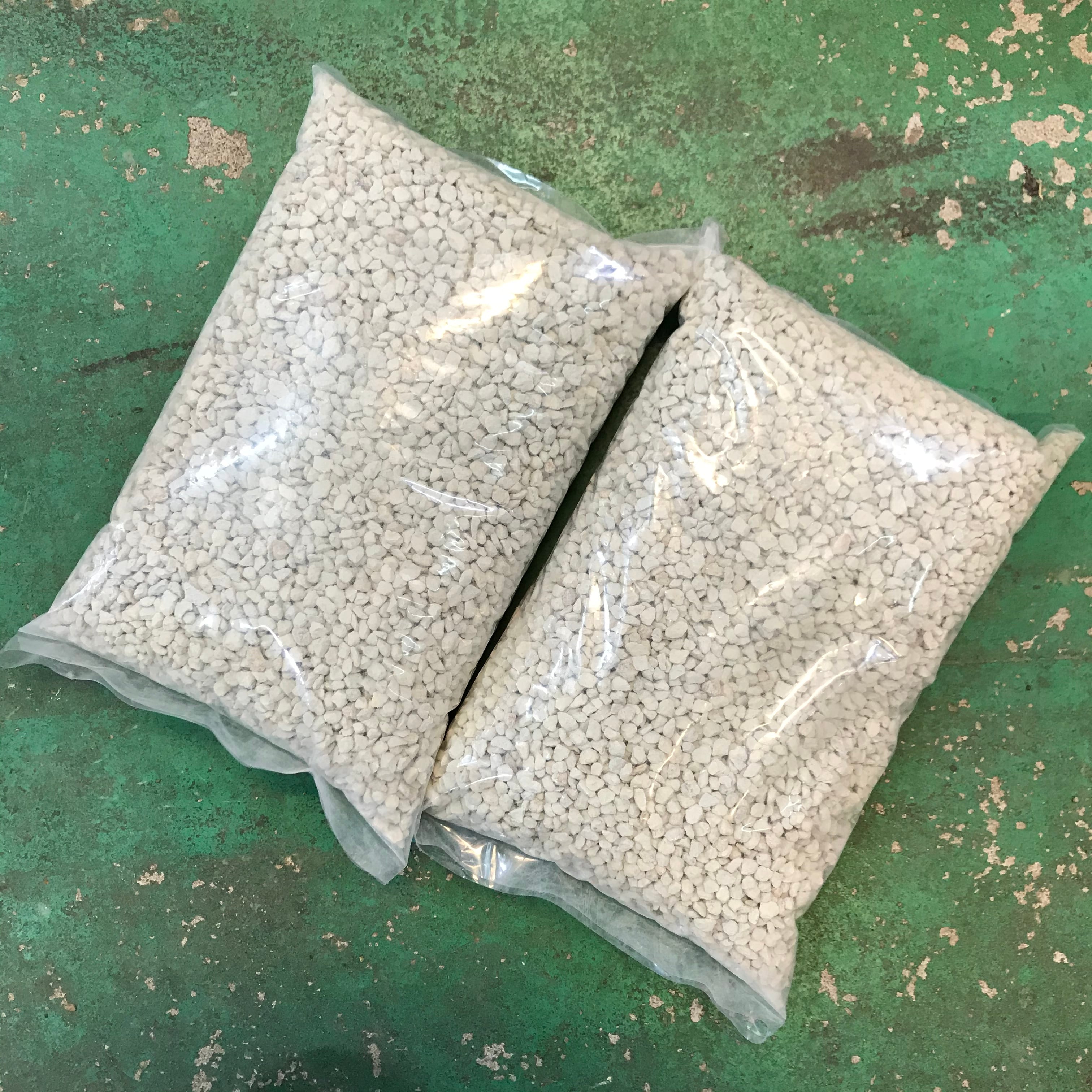 M ビカクシダ養生板 13枚セット M ビカクシダ養生板 13枚セット M ビカクシダ養生板 13枚セット