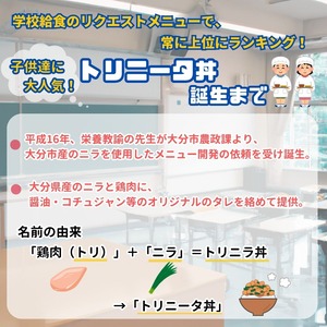 トリニータ丼キット １食用