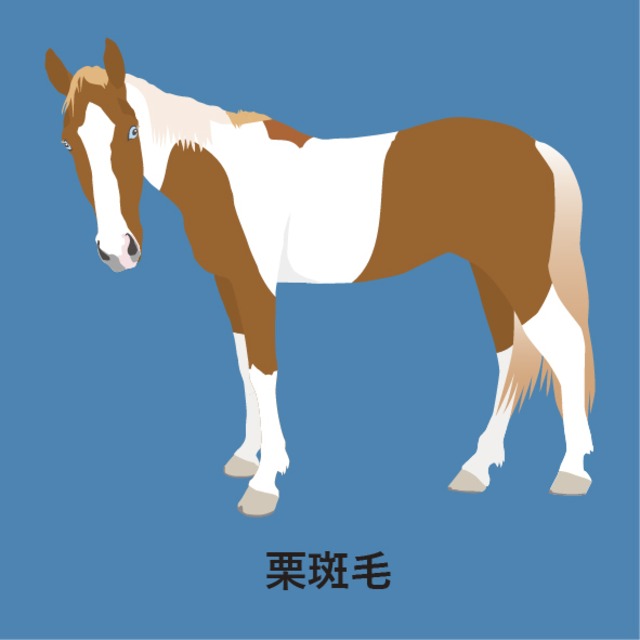 《袖口に馬》半袖ドライポロシャツ／ターコイズ