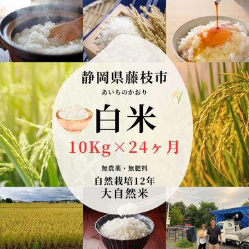 業務用米】佐賀県産ブレンド米 【小粒】 膳の匠 白米30kg （10kg×3袋