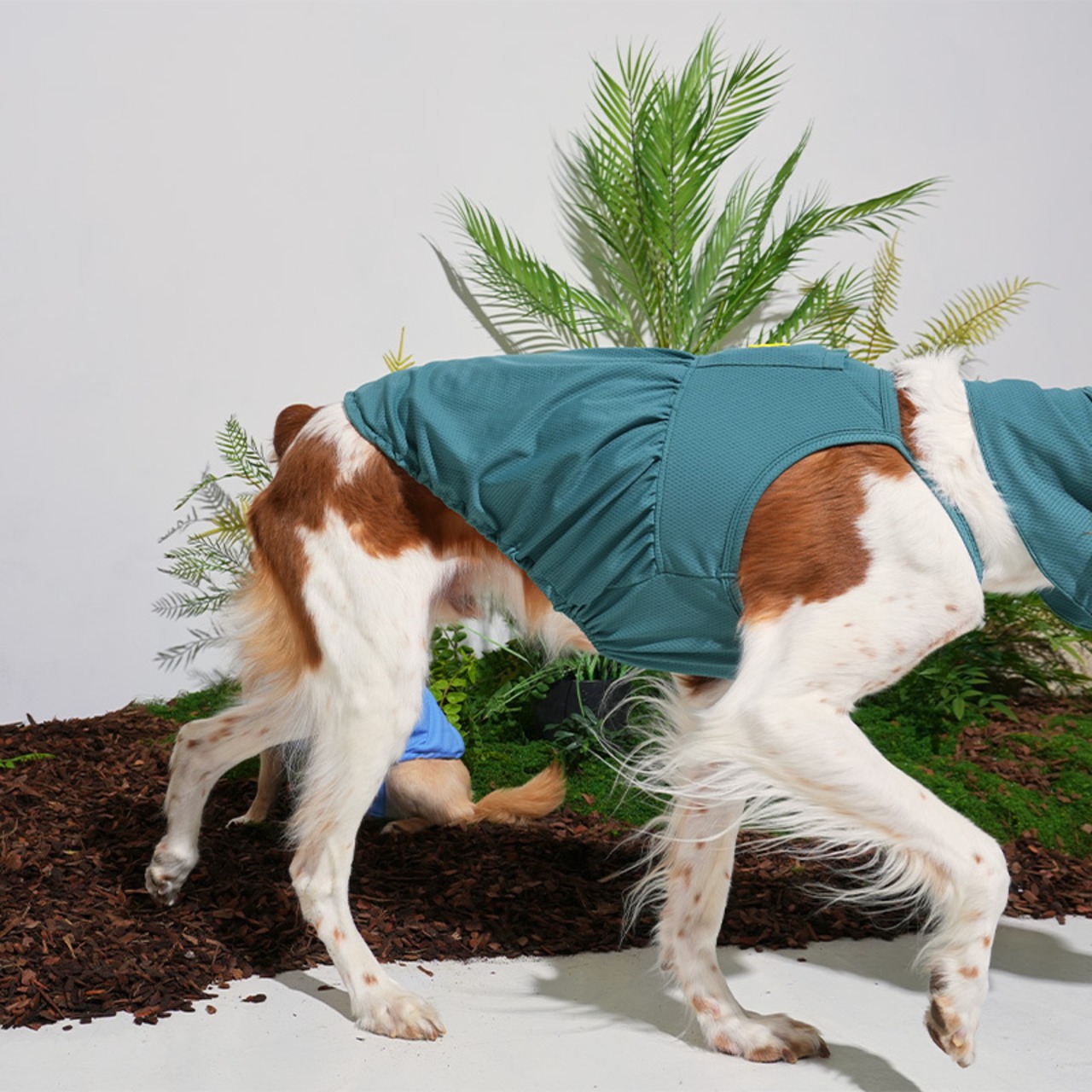 【PUPPYGALLERY公式】Jelly Bear Tank Top　4XL-5XL