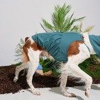 【PUPPYGALLERY公式】Jelly Bear Tank Top　4XL-5XL