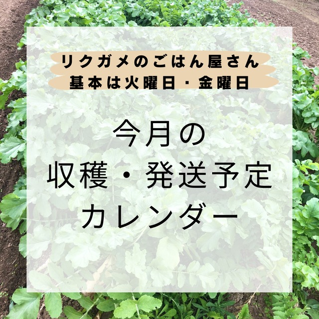 （参考）収穫/ 発送予定のカレンダー