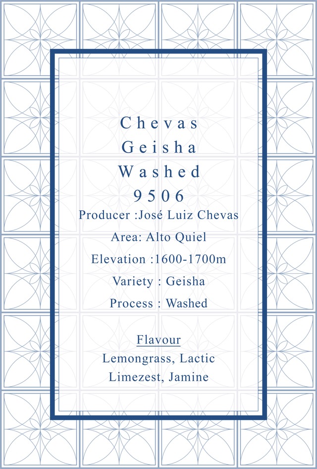Chevas Geisha Mossto Washed ＃64