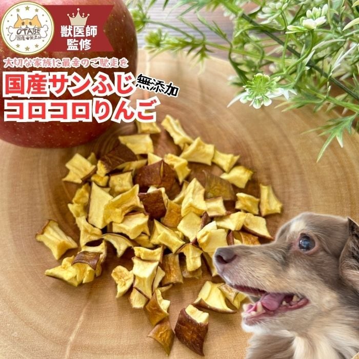 りんごいぬ 獣医師監修】犬はりんごを食べれる？皮や量など注意点と基礎知識