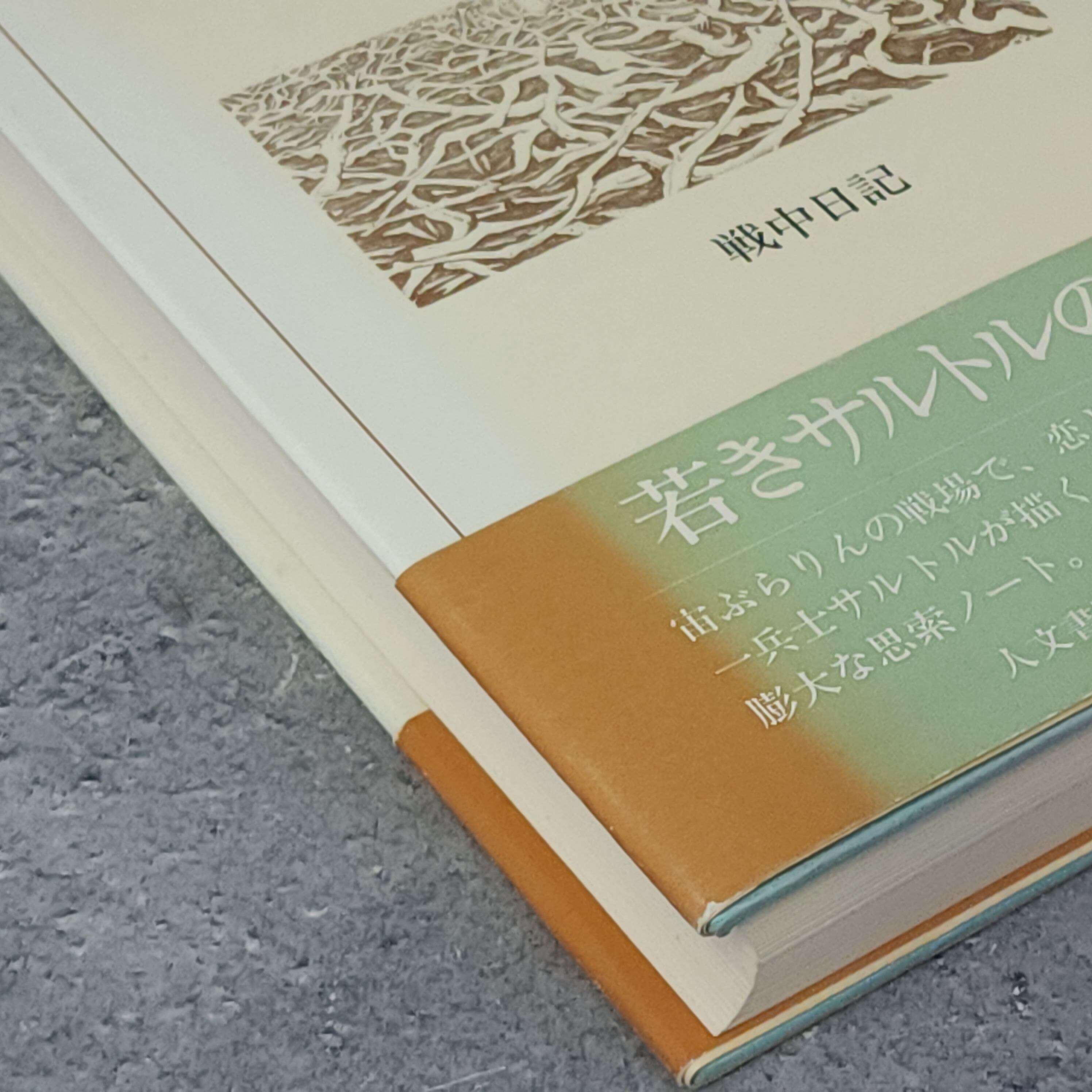 「奇妙な戦争: 戦中日記」 ジャン・ポール・サルトル　【希少本】 奇妙な戦争 戦中日記 ジャン-ポール・サルトル |古本 | 古本とうつわと