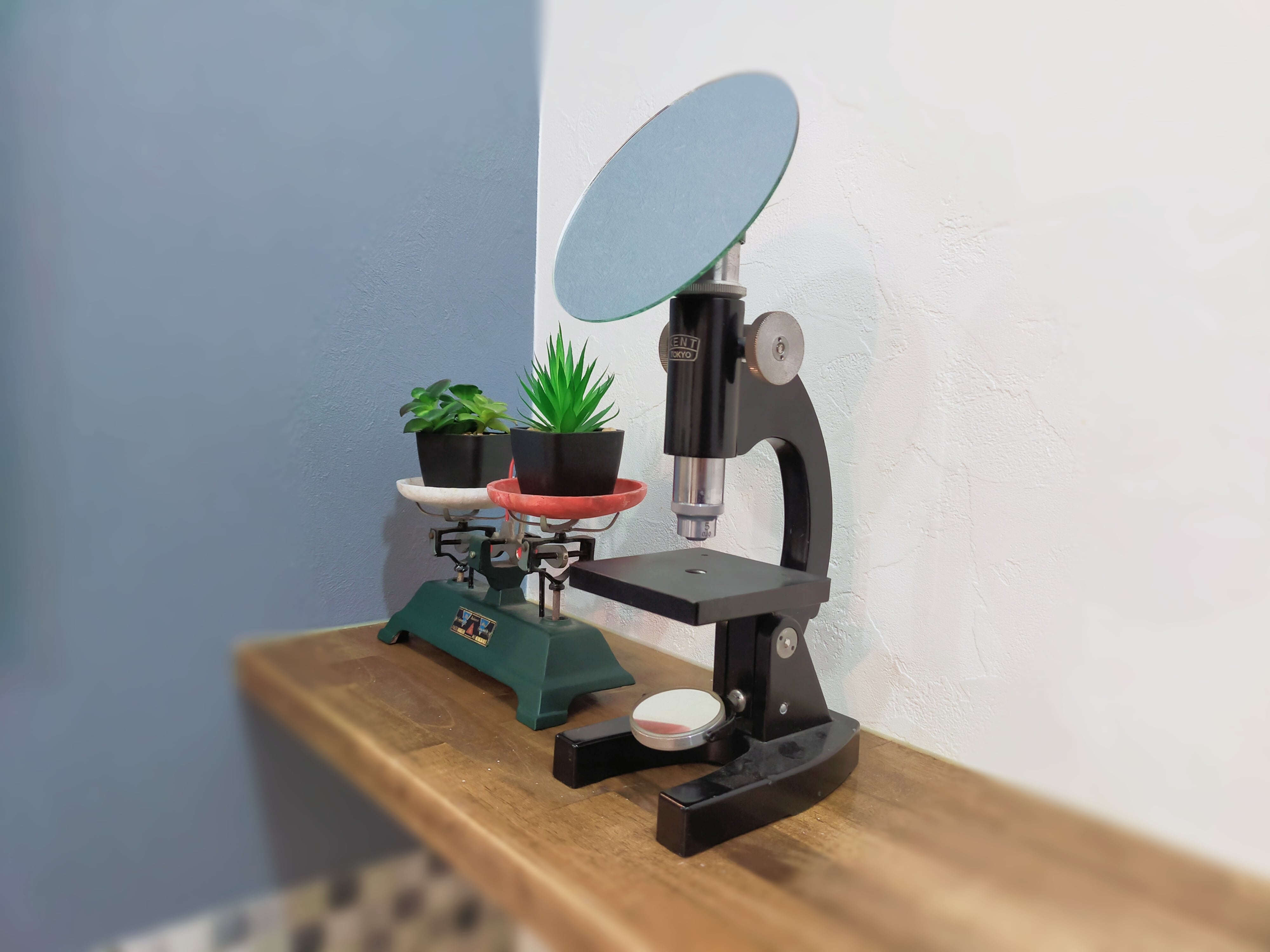 66c608cc6542926b4622ba886e9840