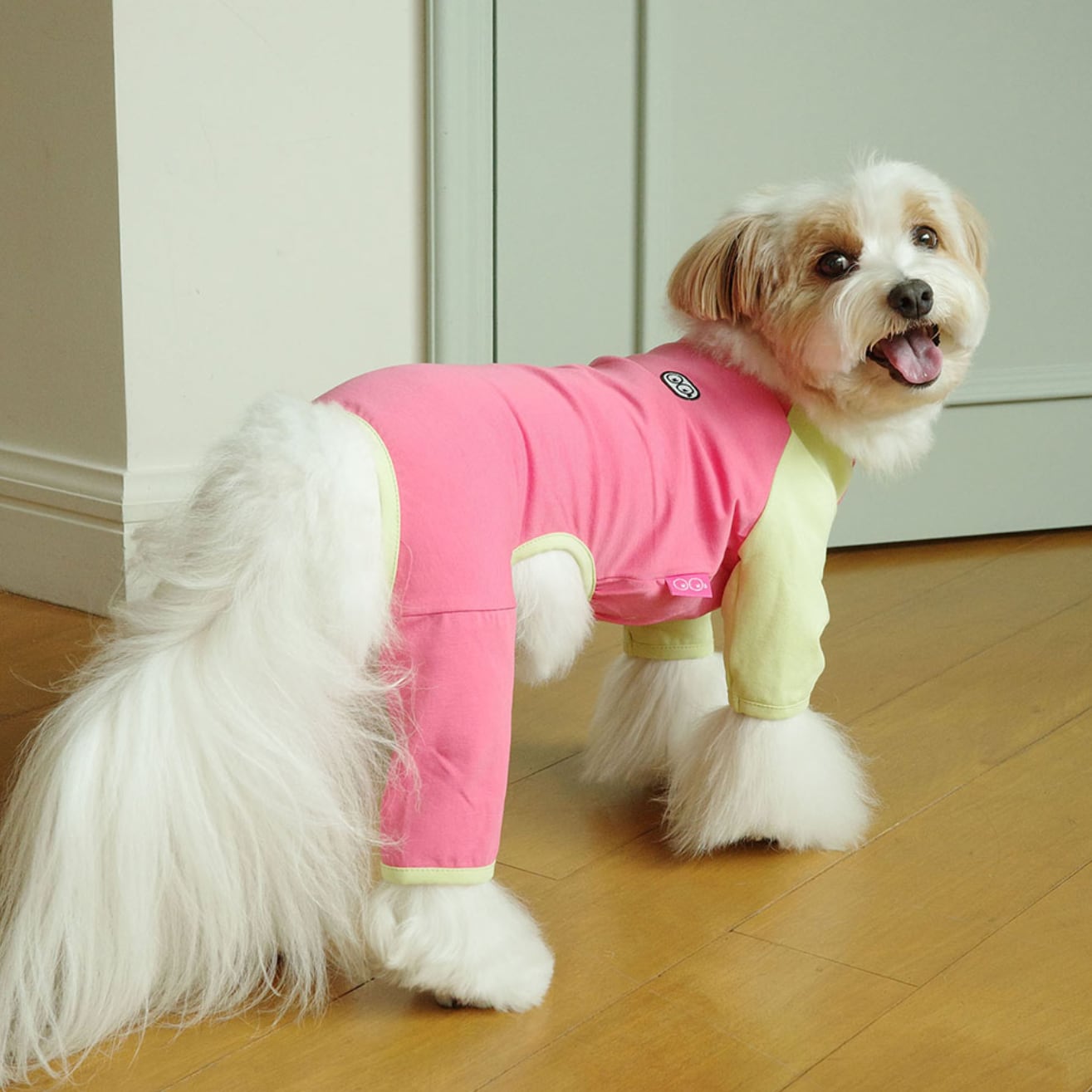 予約【noonoosoom】All Day All In One (Pink/Lime)