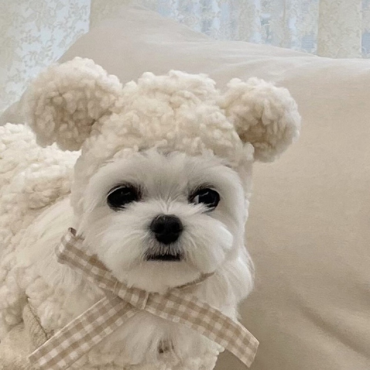 即納【avec chiot】Bear Fur Hat - Vanilla／Yellow／Pink