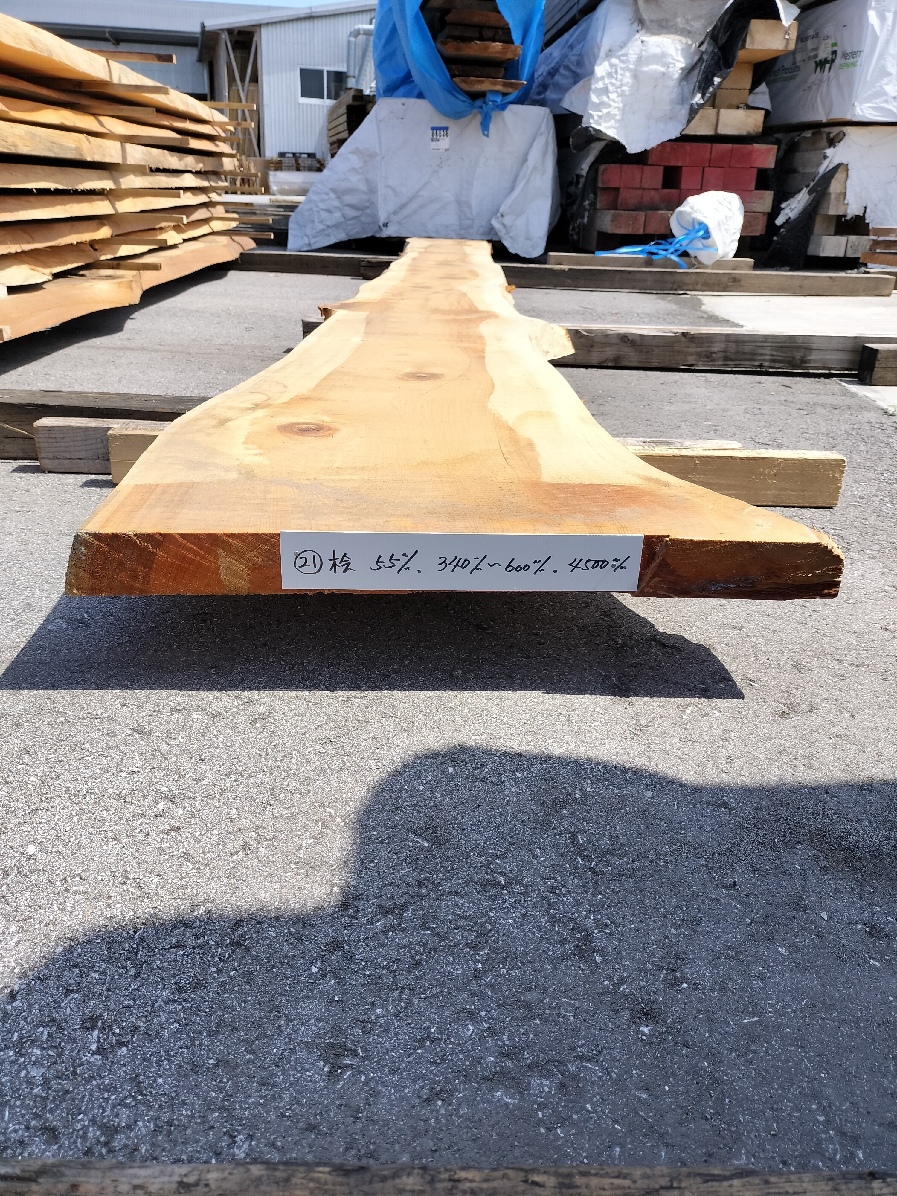 耳付盤木(桧)No.21