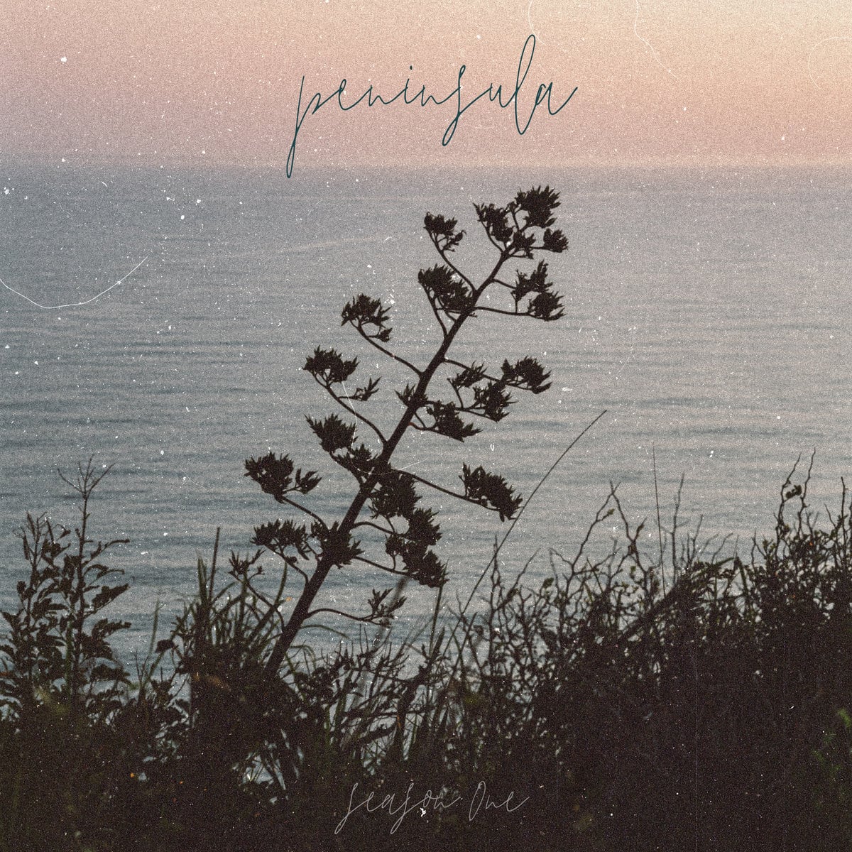 CD】The Vernon Spring - A Plane Over Woods（p*dis） | PASTEL