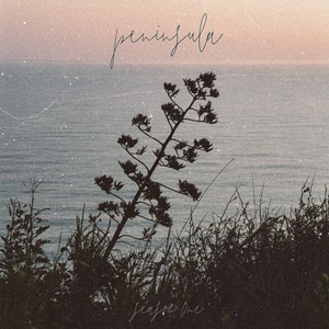 Various Artists - Peninsula Season One [LP]（Inner Ocean Records）