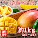 【販売終了】家族満足用1kg|沖縄糸満産 完熟マンゴー 3〜4玉|農薬控えめ・自然完熟|6月下旬出荷