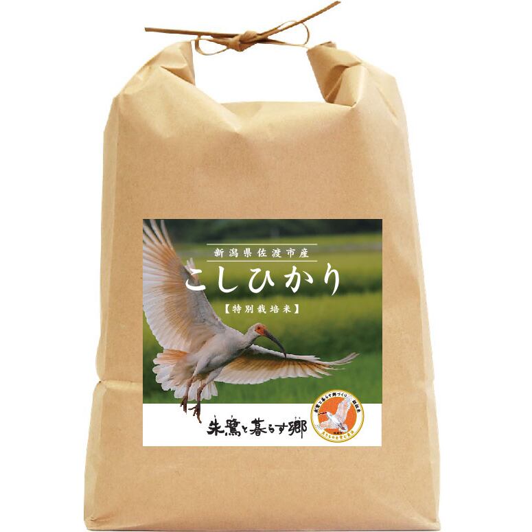 新潟県佐渡産コシヒカリ　2kg　特別栽培米　玄米　お米のカツヤ