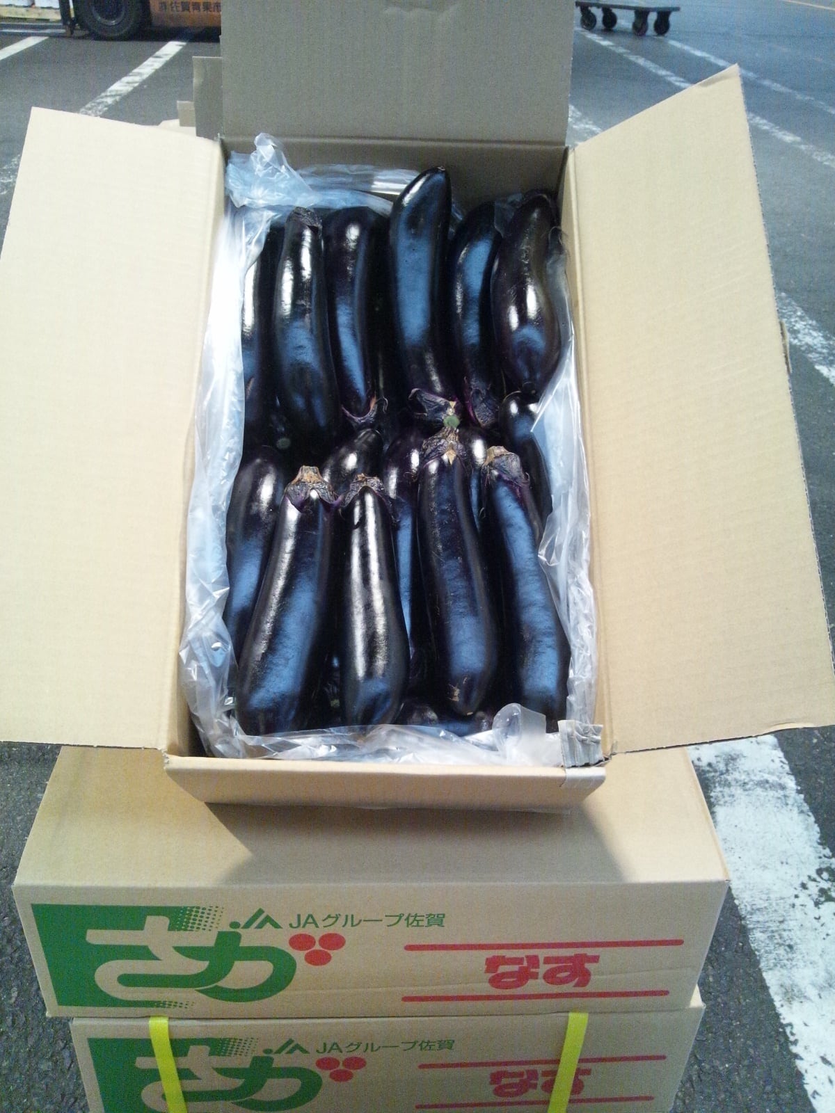 66cbf6733ff72b2704e5b5e2bc7f27