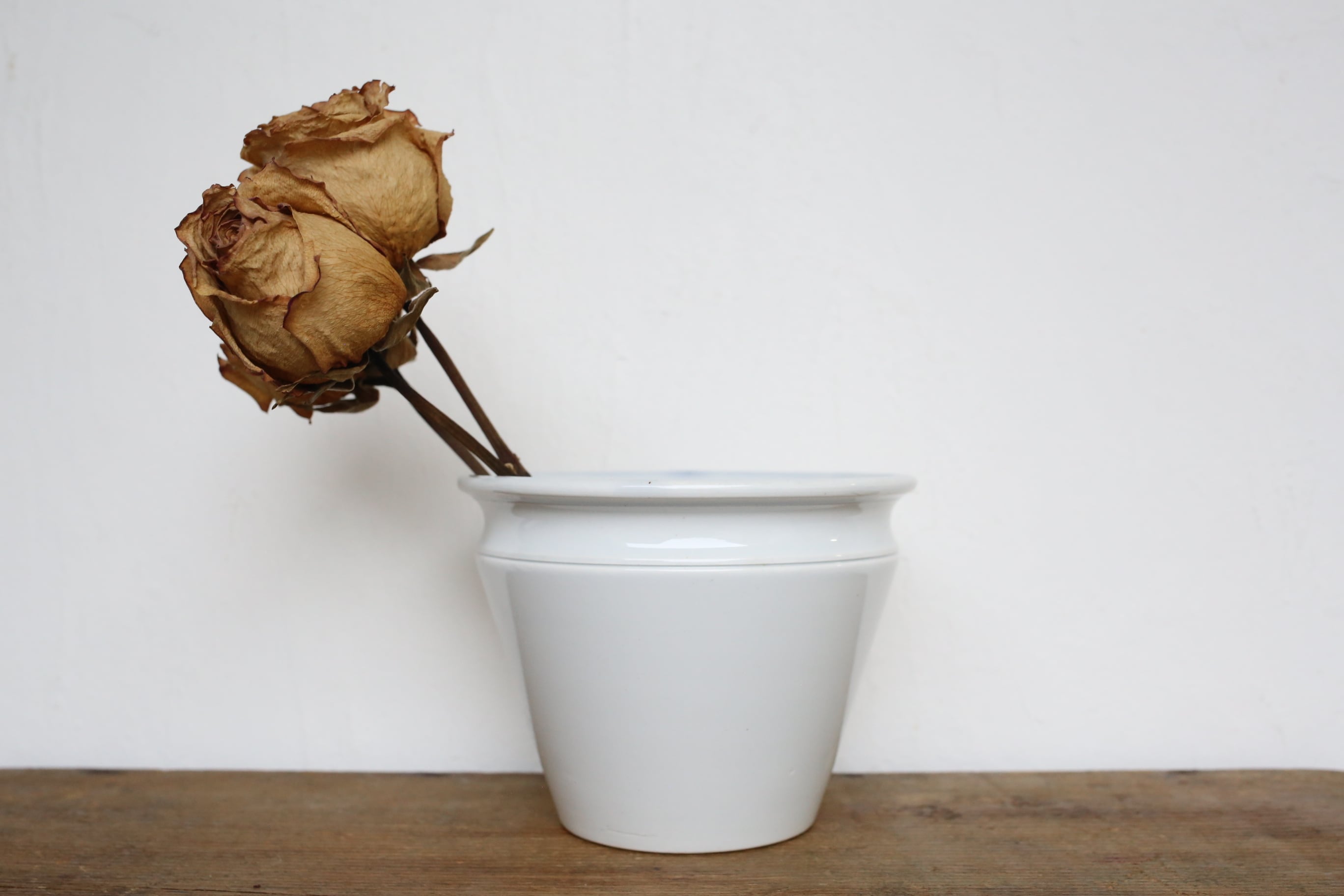 フランス アンティーク クレイユモントロー Creil et Montereau コンフィチュールポット (大)