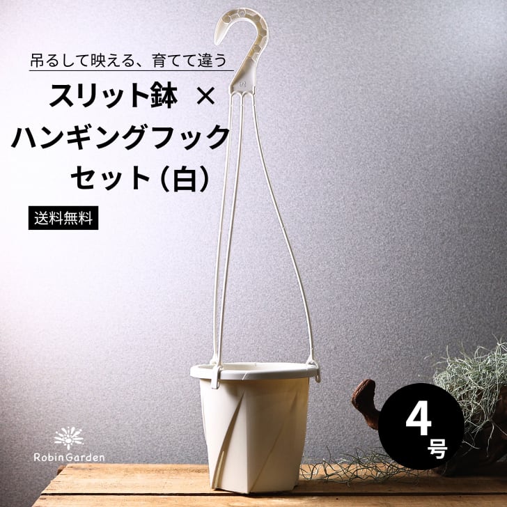 タケノコ蘭 4種類セット・クリア鉢付き ハンギングフックなし 66d4c1a9c820402649b3d10314a7a8