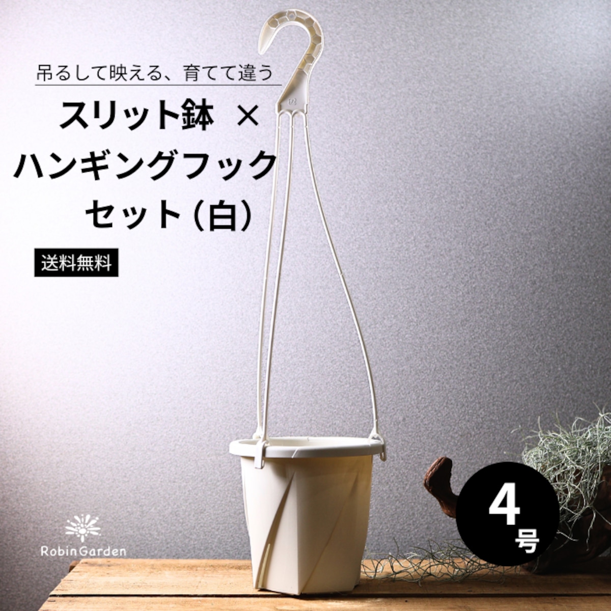 タケノコ蘭 4種類セット・クリア鉢付き ハンギングフックなし 66d4c1a9c820402649b3d10314a7a8