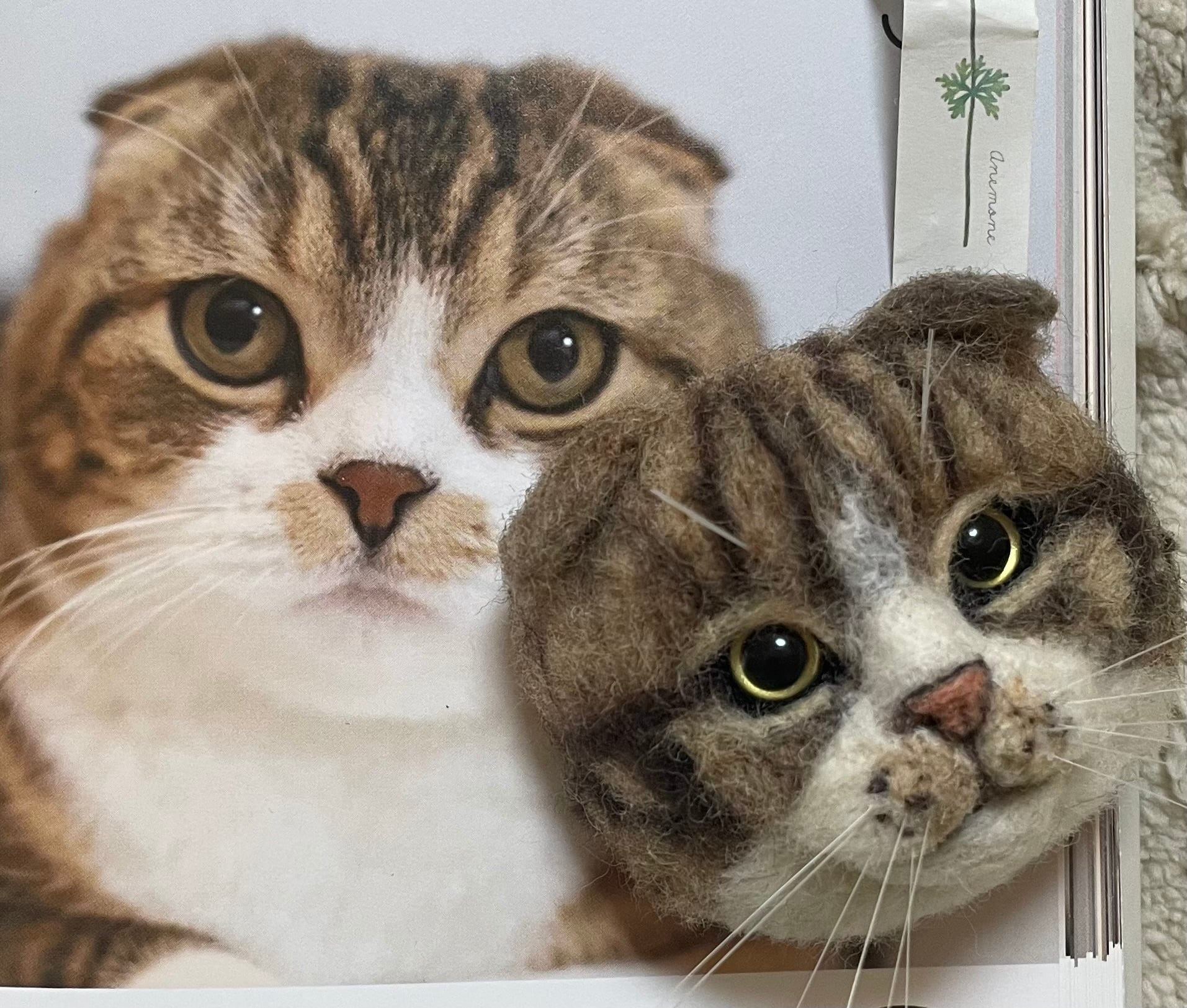 羊毛フェルト リアル可愛いスコティッシュフォールド 猫 ブローチ ゆ