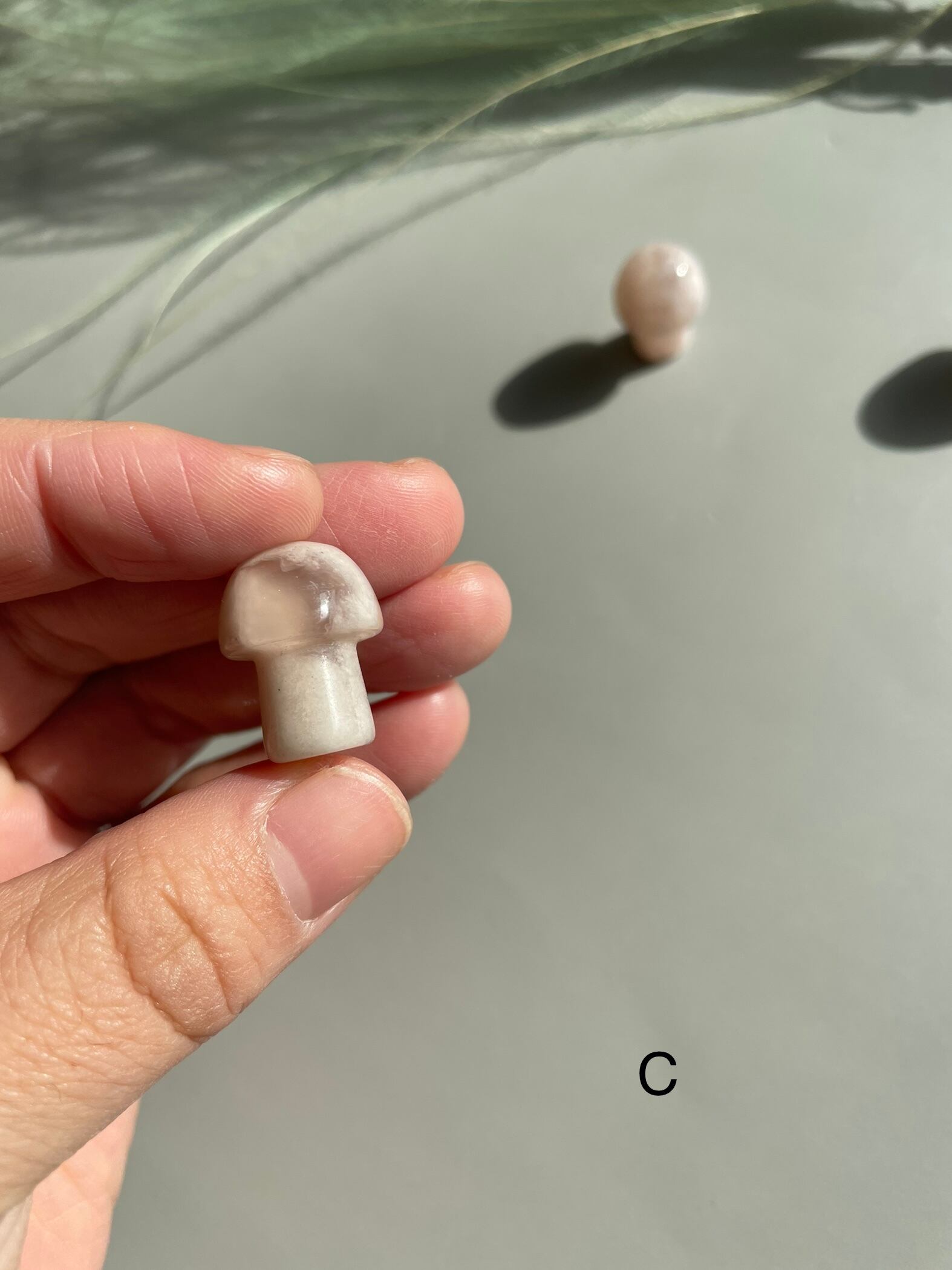 桜めのう　きのこ