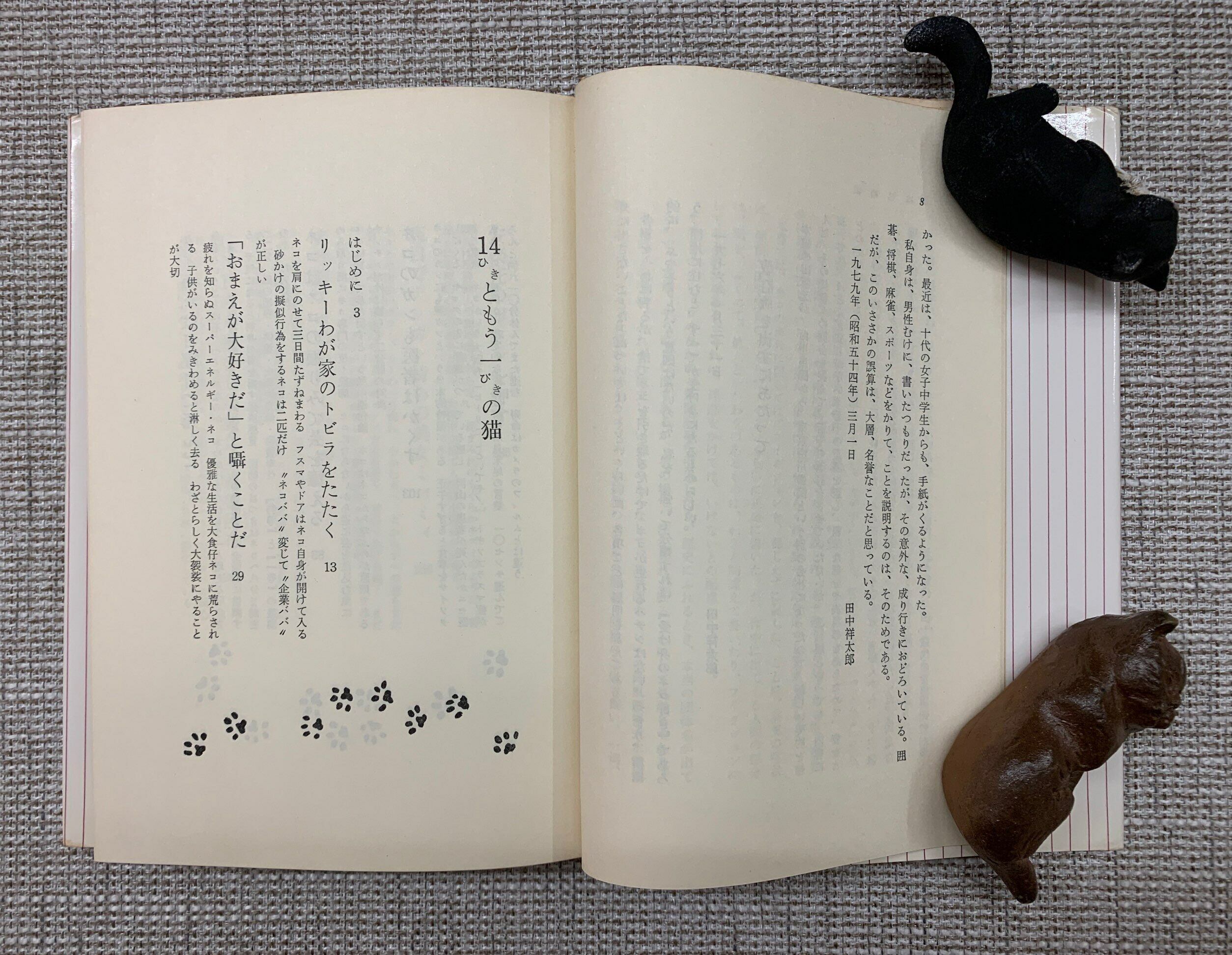 14ひきともう一ぴきの猫（単行本） | 猫本サロン 京都三条サクラヤ