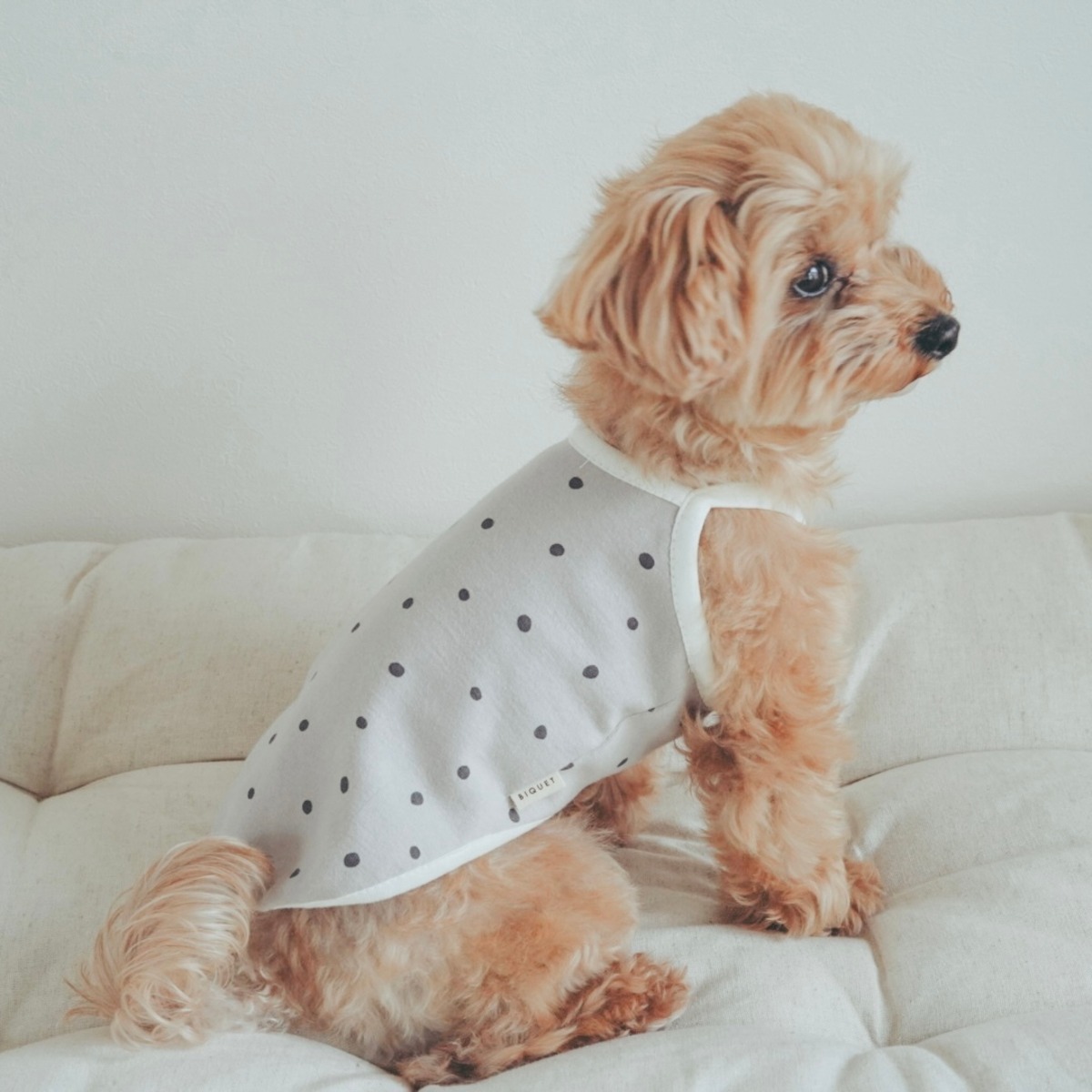 ハンドメイド☆犬服☆ラグラン☆ワッフル☆くすみカラー☆ピンク☆ブルー②