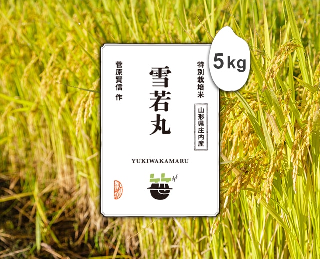 5kg 雪若丸（山形県庄内産）