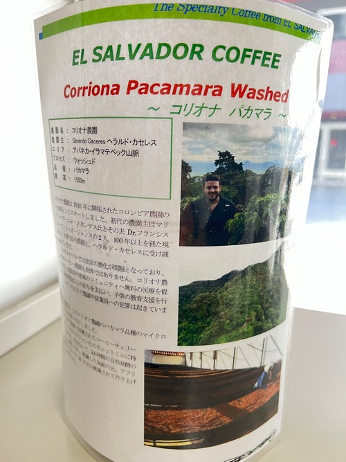 エルサルバドル コリオナ　パカマラ　200g ⭐︎