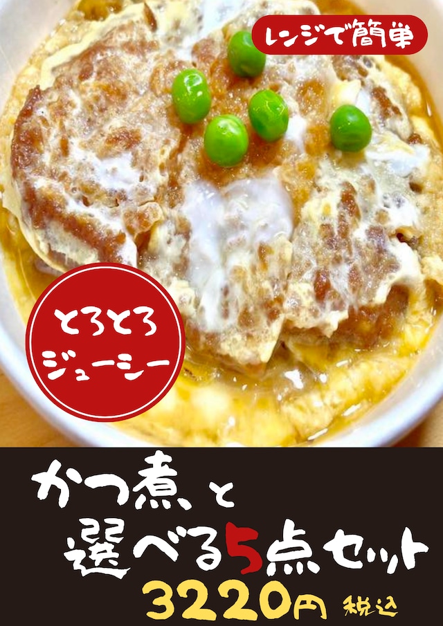 かつ煮とおかずの選べる５点セット【冷凍食品】