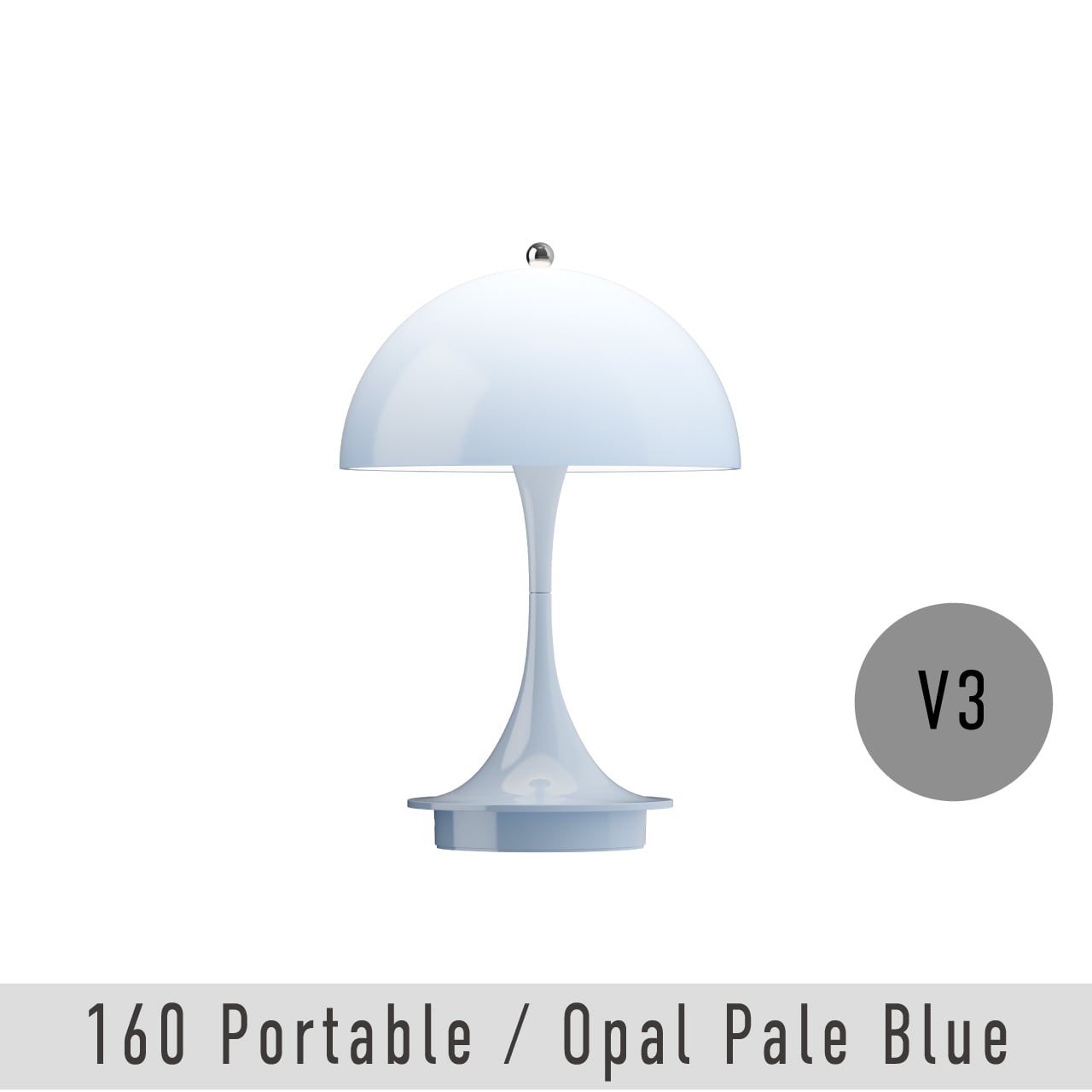 希少種！高さ約１３０㎝タワー仕立てパライソヴェルデ 66ec827b2bf2271f3d48322be98751