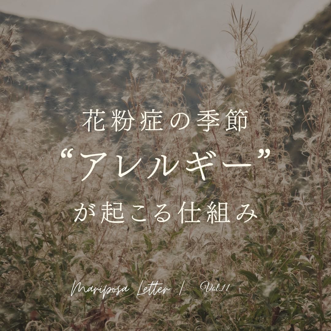 MARIPOSA Letter vol.11「花粉症の季節...アレルギーが起こる仕組み」