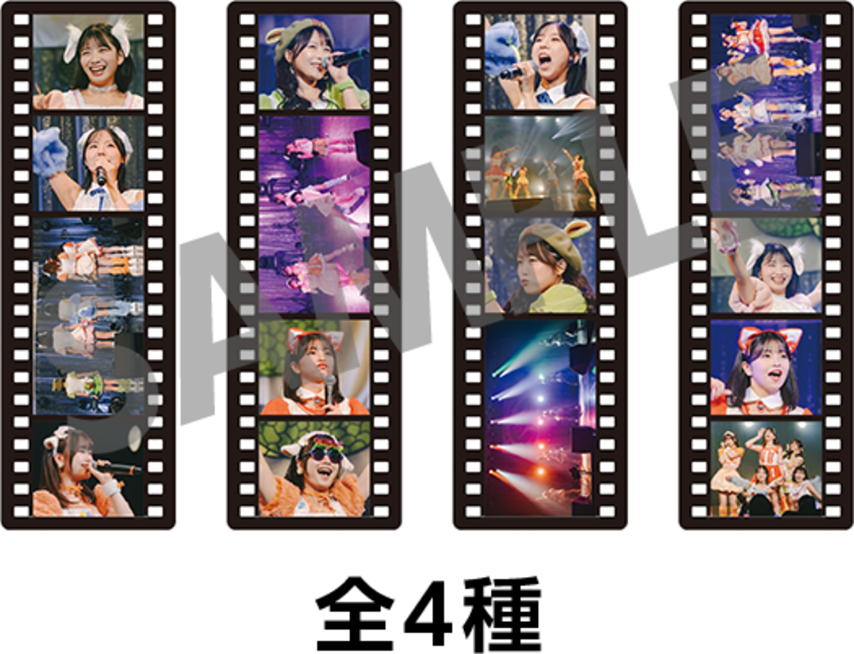 にきちゃんの日2025 ランダム2種入りクリアしおり | UP UP GIRLS SHOP