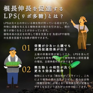 【超得】ラプラス - LaPlaS - まとめ買い10L　送料無料