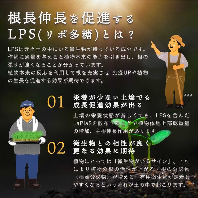 【超得】ラプラス - LaPlaS - まとめ買い10L　送料無料