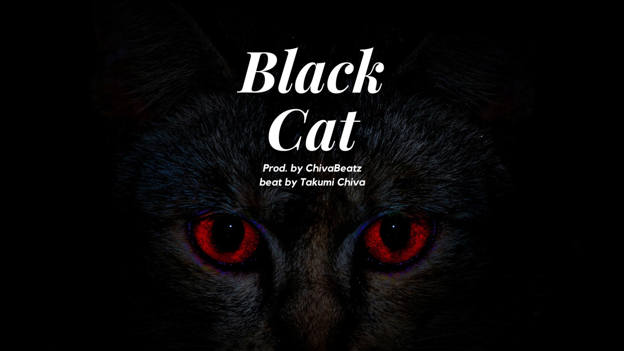 【パラデータ＋独占利用ライセンス】Black Cat