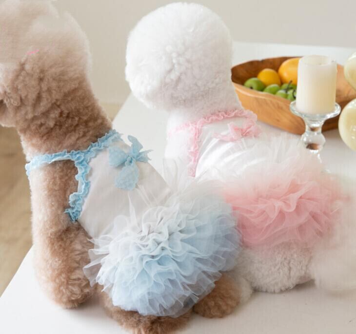 おすすめ☞《予約》№2101574 チュールボンボンキャミソール