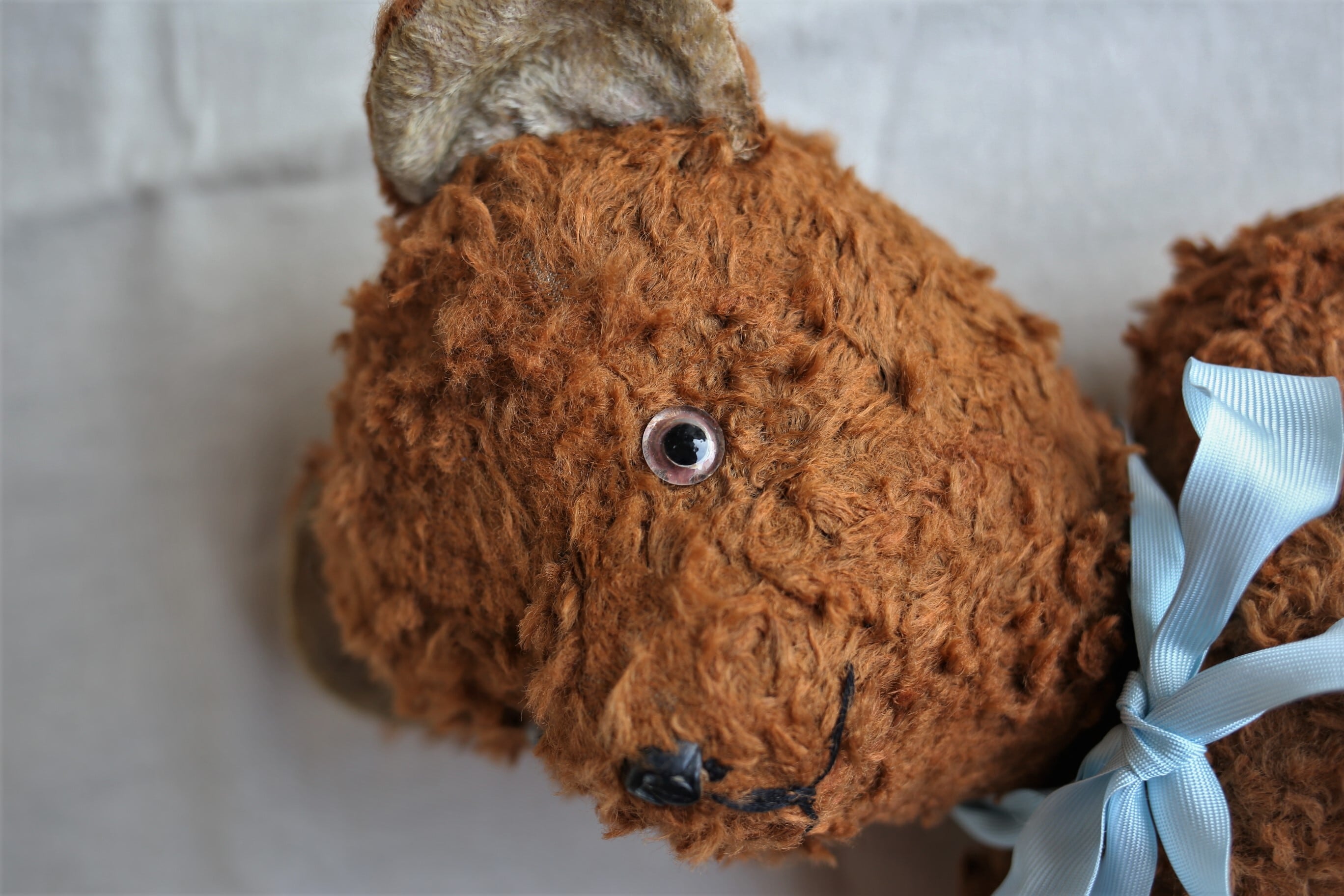 フランス アンティーク 大きめの栗毛のテディベア 54cm N-02997 | EMUPARIS