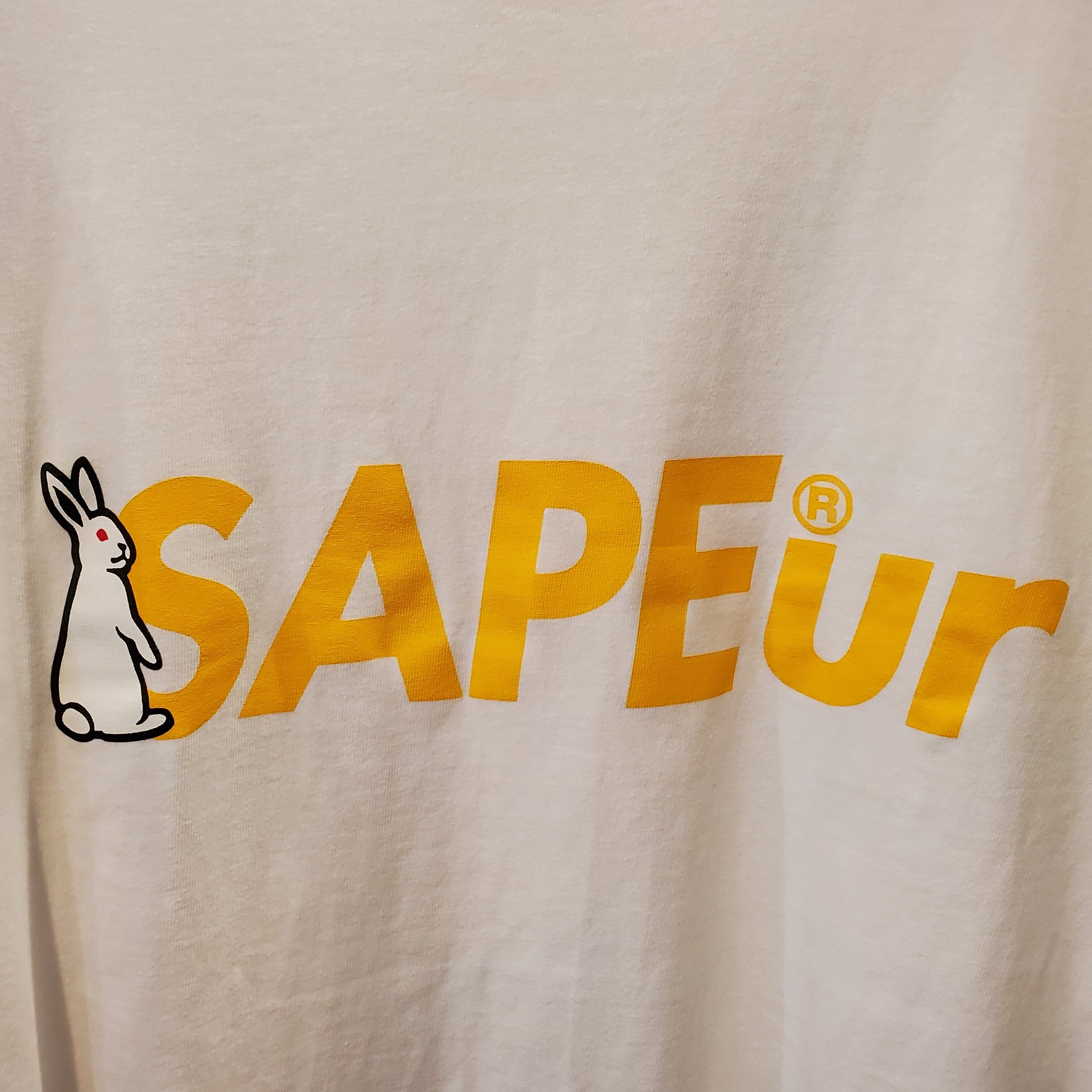 SAPEur collaboration with ＃FR2 BIG-S L/S tee