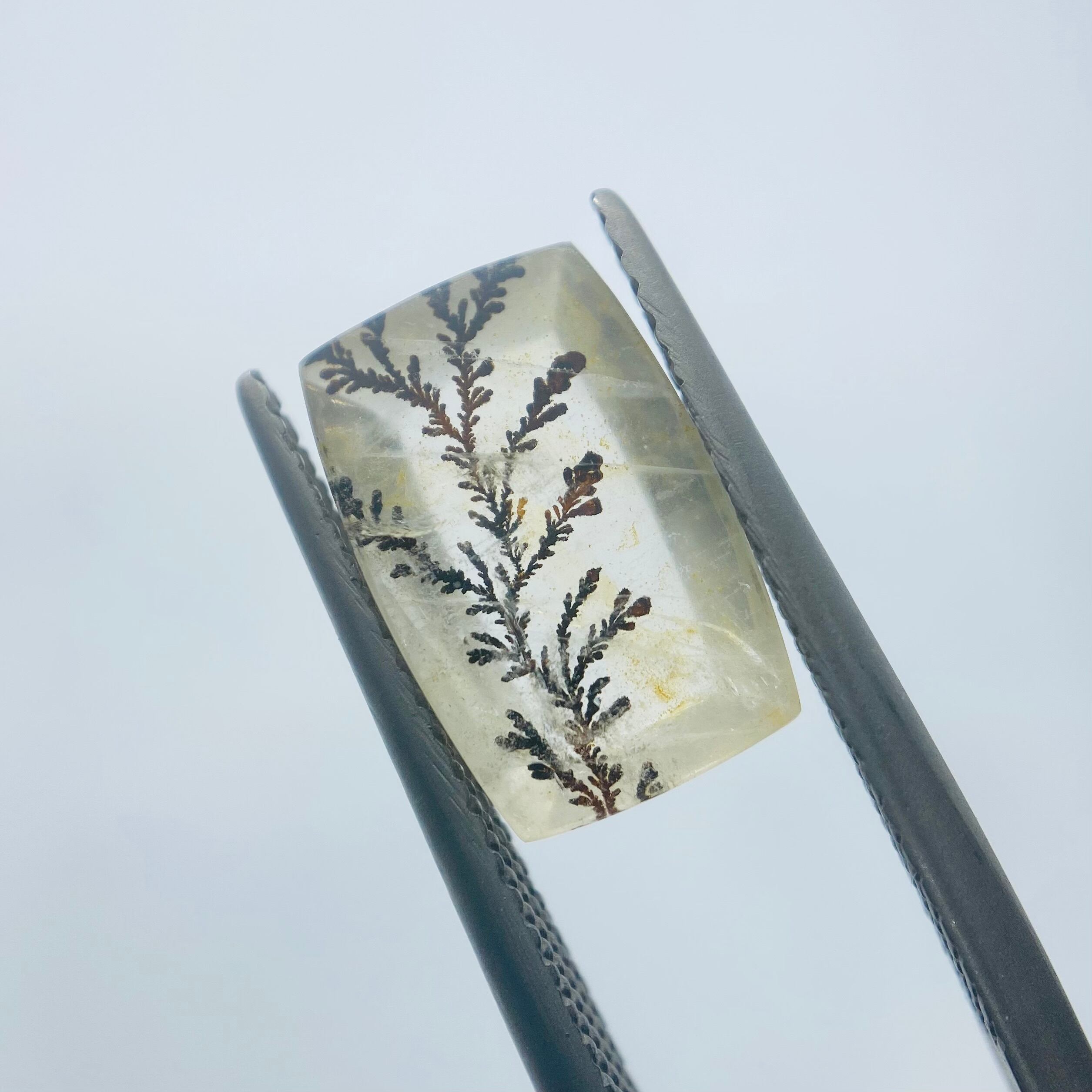 インスタライブご紹介　デンドリティッククオーツ