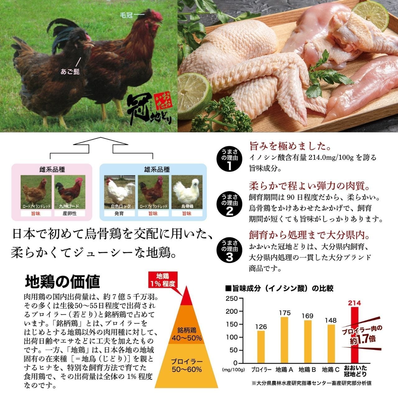 ■おおいた冠地どりコールドハム（もも1袋＆むね1袋セット）