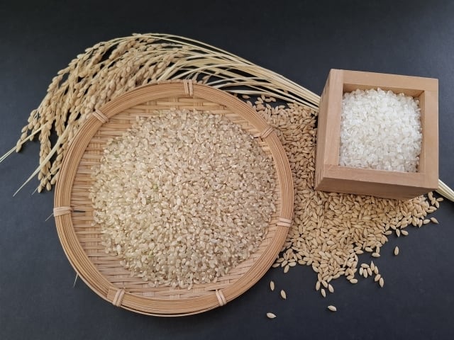 熊本・菊池産 入賞玄米 2kg｜菊池米 食味コンクール評価の高い玄米