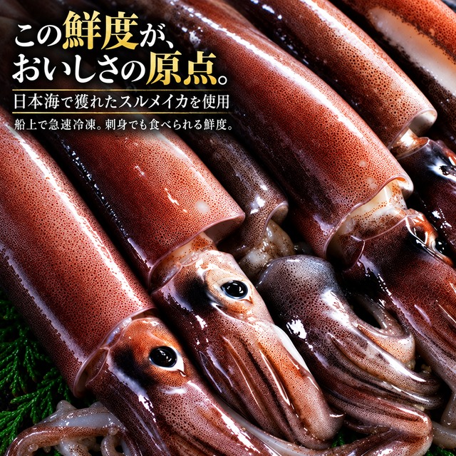 日本海産【ソフト食感】白身いか3尾入｜添加物不使用・サラダや炙りで