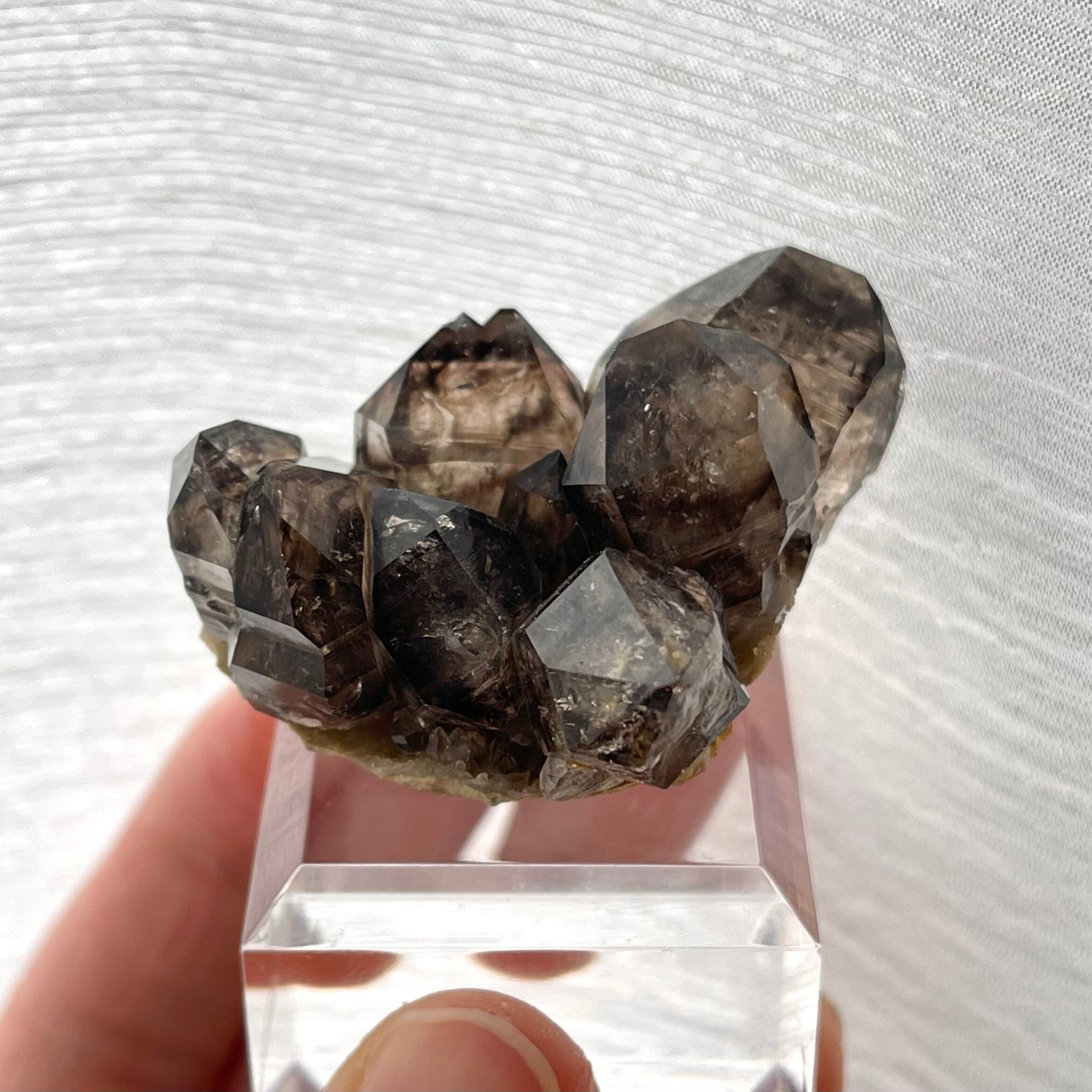 スモーキークォーツ【Smoky Quartz】オーストラリア産 | PEANUTS MINERALS