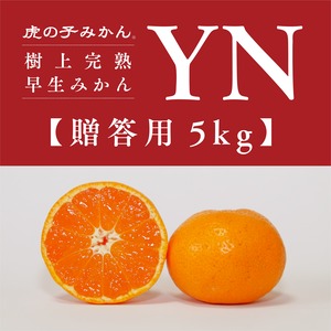 「虎の子みかん」YN早生/贈答用5kg