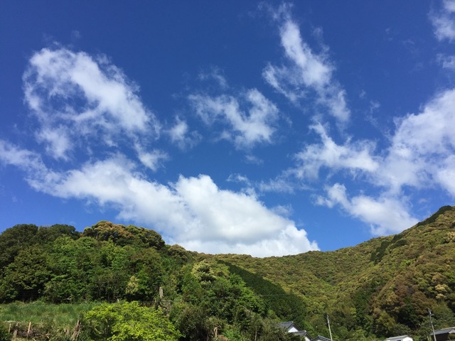 さつまいも１kg　蜜あふれる べにはるか