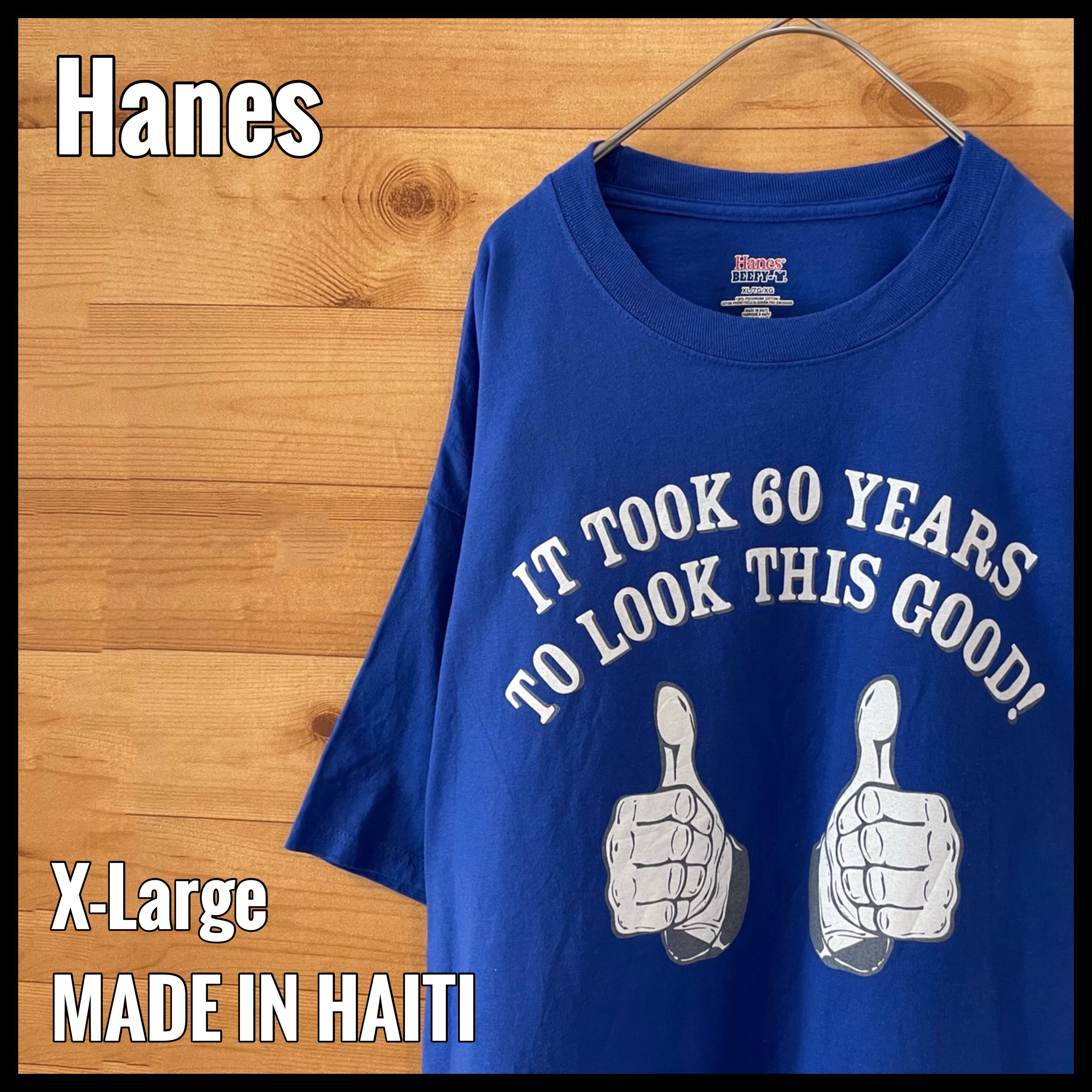 90s USA製　Hanes へインズ　Beefy Tシャツ　イルカ　アートT