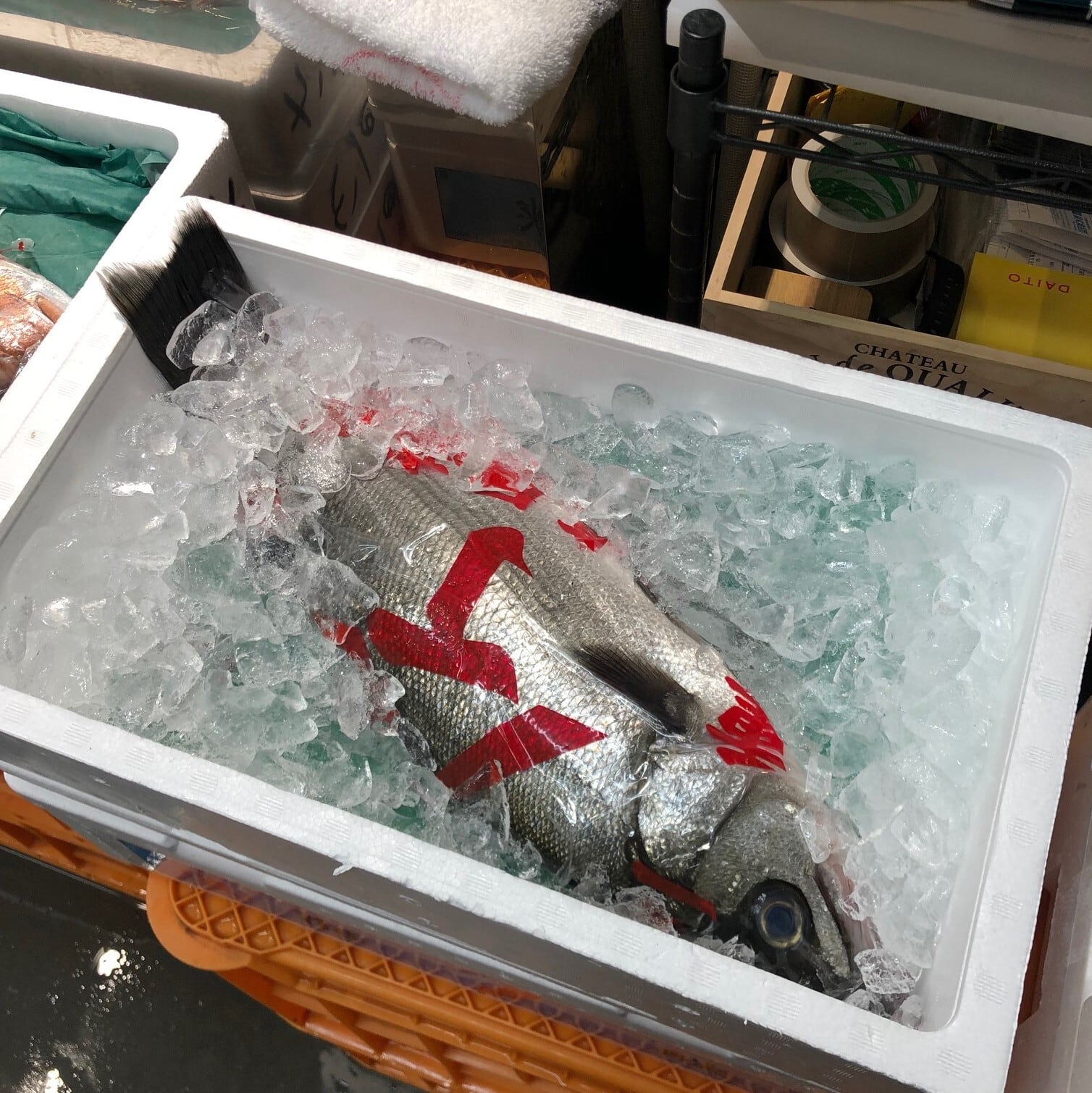 ヒラスズキ 平鱸 国産（三重・千葉 他）1尾1.5-2kg【ヒラスズキ1.5-2kg