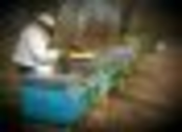 レ・クエルチェ はちみつ シャクナゲ（200g）ピエモンテ州【ハイマウンテンハニー（高山蜂蜜）】