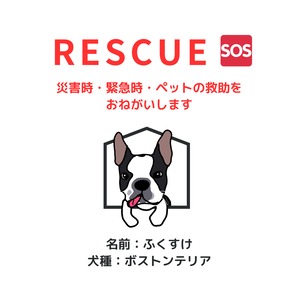 塩ビ素材ステッカー1枚　【レスキュー】　