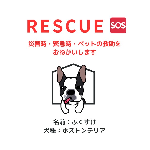 塩ビ素材ステッカー1枚　【レスキュー】　